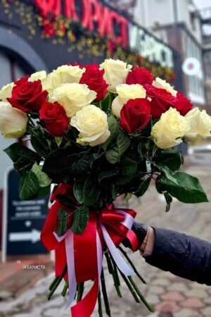 Букет из 25 красных и белых голландских роз