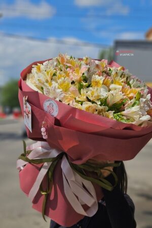 Моно букет из ассорти альстромерии