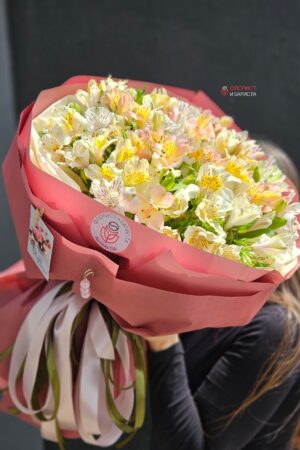 Моно букет из ассорти альстромерии