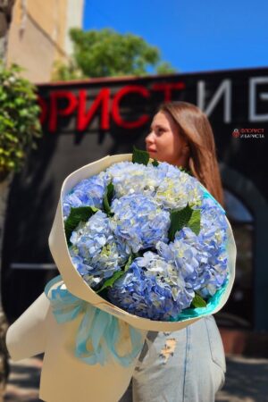Букет из 9 голубых гортензий