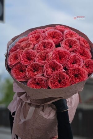 Букет из 25 голландских коралловых пионовидных роз