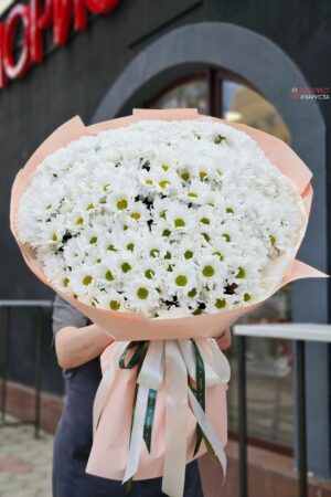 Букет из 41 кустовой хризантемы ромашковидной