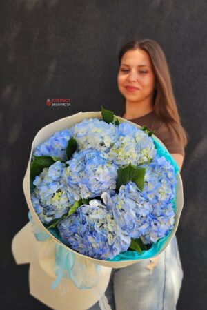 Букет из 9 голубых гортензий