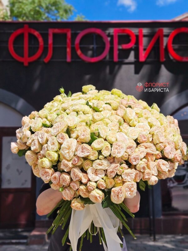 Букет из 101 голландской кустовой пионовидной розы