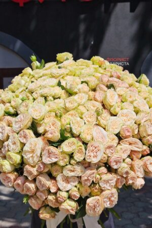 Букет из 101 голландской кустовой пионовидной розы