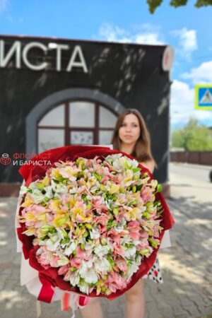Букет из 51 ветки альстромерии
