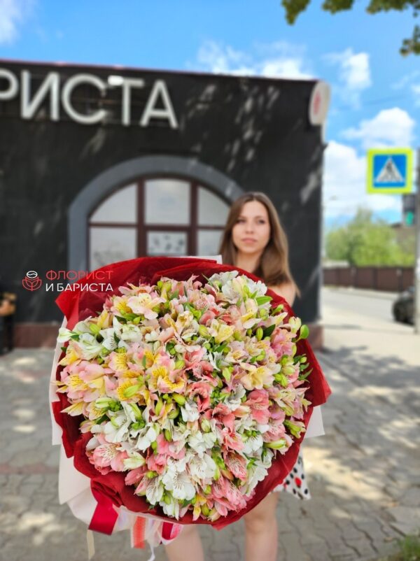 Букет из 51 ветки альстромерии