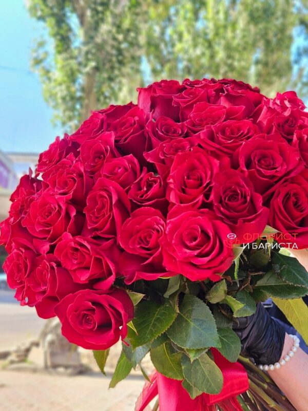 Букет из 51 голландской алой розы 60 см